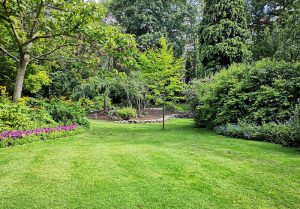 Optimiser l'expérience du jardin à Pargny-sur-Saulx